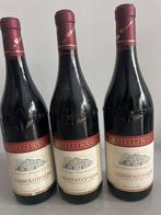 Fratelli Rabino Nebbiolo d'Alba - 3 Flessen, Ophalen, Italië, Zo goed als nieuw, Rode wijn