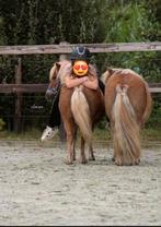 Wij zoeken een plekje, Dieren en Toebehoren, Stalling en Weidegang