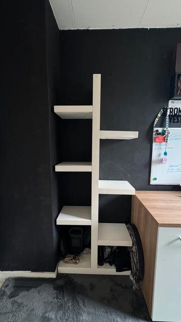 Showcase kast / vitrinekast beschikbaar voor biedingen
