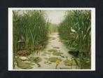 Ansichtkaart Schoolplaat Het Naardermeer, Lepelaar Meerkoe., Ophalen of Verzenden, 1980 tot heden, Ongelopen, Waterdier