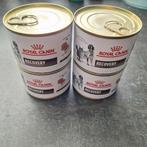 Hond/kat Royal canin recovery voeding, Ophalen, Kat