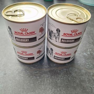Hond/kat Royal canin recovery voeding beschikbaar voor biedingen