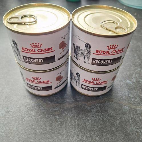 Hond/kat Royal canin recovery voeding, Dieren en Toebehoren, Dierenvoeding, Kat, Ophalen