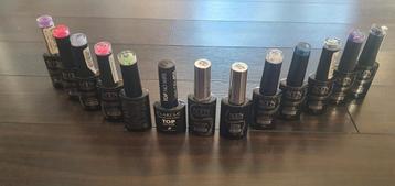 Gellak nagellak NTN 13 flesjes beschikbaar voor biedingen