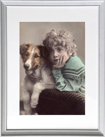 Nostalgische oude honden foto's in kleur A4 Glanzend‼️ beschikbaar voor biedingen