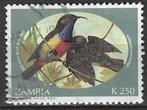 Zambia 1994 - Yvert 587 - Anchieta's honingzuiger  (ST), Postzegels en Munten, Postzegels | Afrika, Zambia, Ophalen, Gestempeld