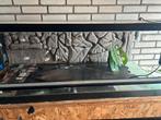 Terrarium 120x60x40, Dieren en Toebehoren, Reptielen en Amfibieën | Toebehoren, Ophalen, Zo goed als nieuw