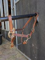 Prachtige halsters maat cob / full, Dieren en Toebehoren, Paarden en Pony's | Hoofdstellen en Tuigage, Ophalen of Verzenden, Zo goed als nieuw