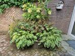 12 Bloembakken, Stapelbak Rondoflor met planten, Tuin en Terras, Ophalen, Gebruikt, Minder dan 60 cm, Rond