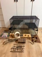 Hamster kooi met extras, Dieren en Toebehoren, Kooi, Minder dan 75 cm, Zo goed als nieuw, Hamster