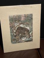 Prent berenfamilie door August Specht, Ophalen of Verzenden, Zo goed als nieuw, Voor 1940, Prent