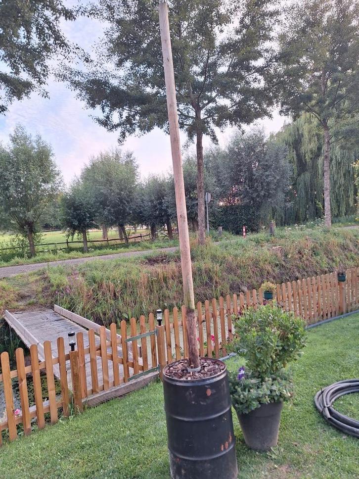 Zware olievaten voor lampslinger of schaduwdoek, Tuin en Terras, Overige Tuin en Terras, Gebruikt, Ophalen