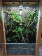 Eikenhouten terrarium, Terrarium of Paludarium, Zo goed als nieuw, Ophalen