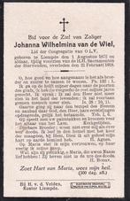 Wiel Johanna 1872 Liempde 1918, Ophalen of Verzenden, Bidprentje