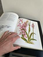 j Landwehr Wilde orchideeën van Europa 1, Boeken, Wonen en Tuinieren, Gelezen, Ophalen of Verzenden