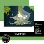 Jonge Brugmansia planten, Volle zon, Vaste plant, Zomer, Ophalen