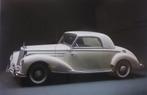 Daimler-Benz, full color platen, Boeken, Auto's | Folders en Tijdschriften, Ophalen, Zo goed als nieuw, Mercedes, Mercedes-Benz