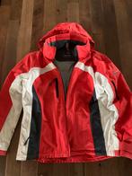 Falcon Ski Jas Dames Maat 42-44, Kleding | Dames, Wintersportkleding, Ophalen of Verzenden, Gedragen, Maat 42/44 (L), Jack