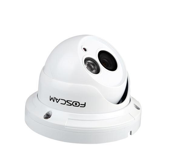 Foscam home security huisbeveiliging buiten camera, Audio, Tv en Foto, Videobewaking, Gebruikt, Buitencamera, Ophalen of Verzenden