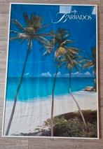 Grote witte aluminium lijst voor een foto of poster, Gebruikt, Metaal of Aluminium, Ophalen of Verzenden, 75 cm of meer