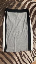 Amy Gee Rok - Maat XS, Verzenden, Zo goed als nieuw, Maat 34 (XS) of kleiner, Grijs