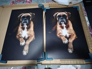 Koopje: 3 schilderijen op aluminium 60 x 90 cm nieuw.  beschikbaar voor biedingen