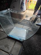 Aquarium, Dieren en Toebehoren, Vissen | Aquaria en Toebehoren, Ophalen, Zo goed als nieuw