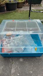 Hamsterkooi met accessoires, Dieren en Toebehoren, Knaagdieren en Konijnen | Hokken en Kooien, Minder dan 60 cm, Kooi, Minder dan 75 cm