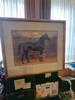 2 litho's met Paarden - Mooie Set!, Ophalen of Verzenden