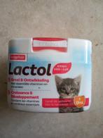 kittenmelk, Ophalen, Kat