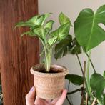 Vintage mini plantenpotje/ grof aardewerk, Rond, Ophalen of Verzenden, Zo goed als nieuw, Minder dan 25 cm