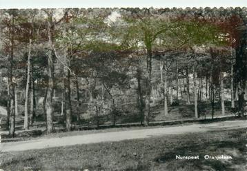 (387-155-039) Nunspeet Oranjelaan beschikbaar voor biedingen
