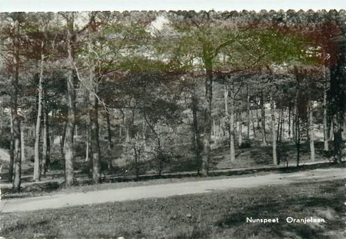 (387-155-039) Nunspeet Oranjelaan, Verzamelen, Ansichtkaarten | Nederland, Gelderland, Verzenden