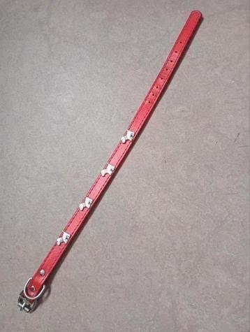 Rood honden halsbandje met hondjes studs beschikbaar voor biedingen