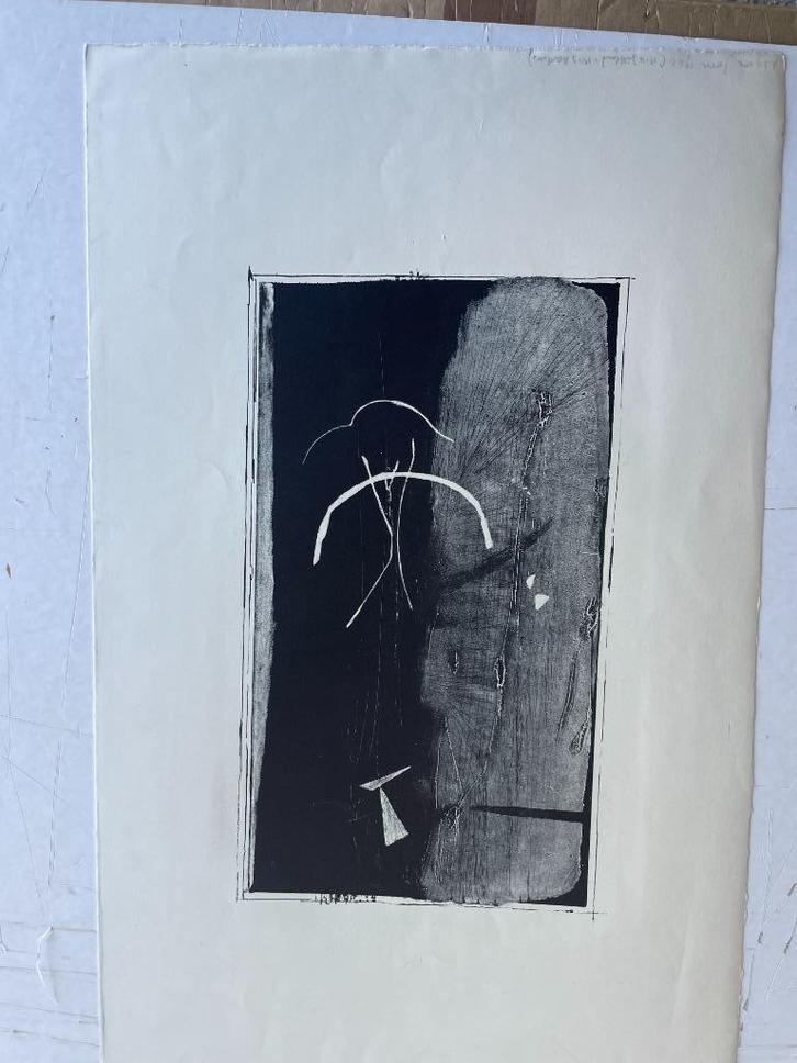 Asger Jorn handgesigneerd en genummerd, Antiek en Kunst, Kunst | Litho's en Zeefdrukken, Verzenden