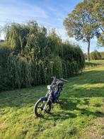 Tomos a35 rijd lekker en doet het goed. (43 kmh), Ophalen, Gebruikt, Overige modellen, 2 versnellingen