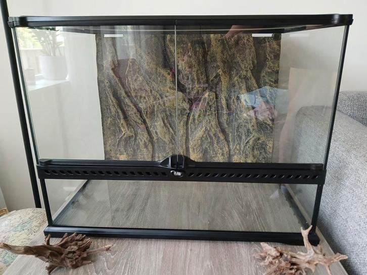 Exo terra terranium 60x45x60 cm, Dieren en Toebehoren, Reptielen en Amfibieën | Toebehoren, Zo goed als nieuw, Terrarium of Paludarium