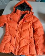 Ski jas, Protest Techboard, Maat 42/44 (L), Nieuw, Ophalen of Verzenden, Protest