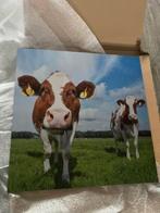 Tuinposter koe, Ophalen of Verzenden, Nieuw