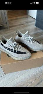 Yeezy’s 350 slate, Addidas, Bruin, Nieuw, Ophalen of Verzenden