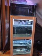 Kweekstelling Aquarium, Dieren en Toebehoren, Vissen | Aquaria en Toebehoren, Ophalen, Gebruikt