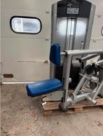 Life Fitness Row / Rear Deltoid / rower / seated row, Sport en Fitness, Ophalen, Benen, Gebruikt, -