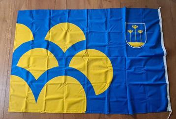 Vlag Gemeente Zoetermeer 150 x 225 cm beschikbaar voor biedingen