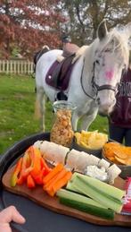 Plekje vrij op onze gezellige privé stal!, Dieren en Toebehoren, Stalling en Weidegang, Weidegang, 2 of 3 paarden of pony's