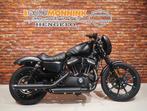 Harley-Davidson XL 883 N Iron Sportster (bj 2020), Motoren, Motoren | Harley-Davidson, Bedrijf, 883 cc, Overig