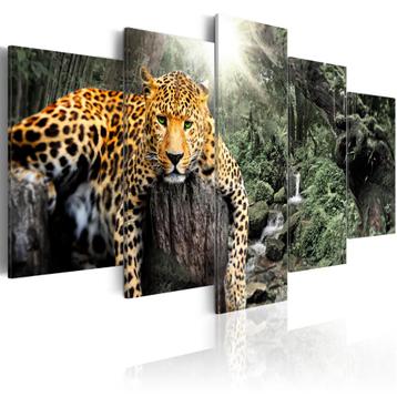 278 Luipaard Natuur XXL 5 Luik Canvas Schilderij 200x100cm beschikbaar voor biedingen