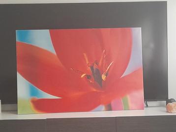 Schilderij maat 118 × 77cm beschikbaar voor biedingen