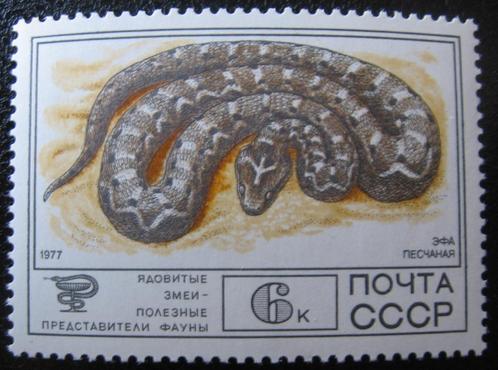 SOVJET UNIE 41 - Dieren: reptielen (zaagschubadder), Postzegels en Munten, Postzegels | Thematische zegels, Postfris, Dier of Natuur