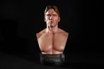 Terminator T-800 Bust Chronicle Collectibles, West Campus 1 76863 Herxheim (DE), Beeldje, Replica of Model, Heo GmbH, Nieuw