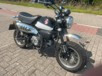 Te koop honda monkey 125 cc beschikbaar voor biedingen